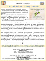 Boletín 5 de Julio